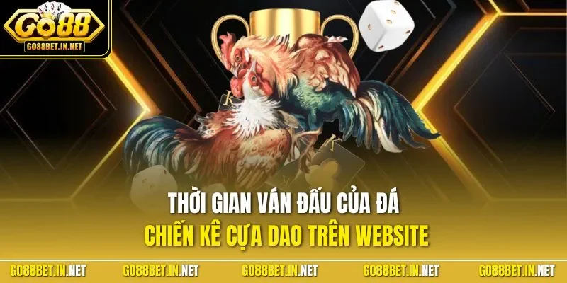 Thời gian ván đấu của đá chiến kê cựa dao trên website